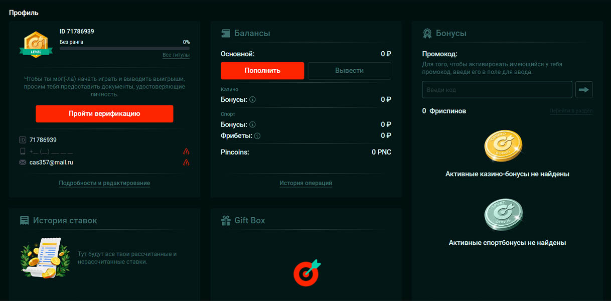 Вход в личный кабинет Pinco казино Вход в личный кабинет Pinco казино